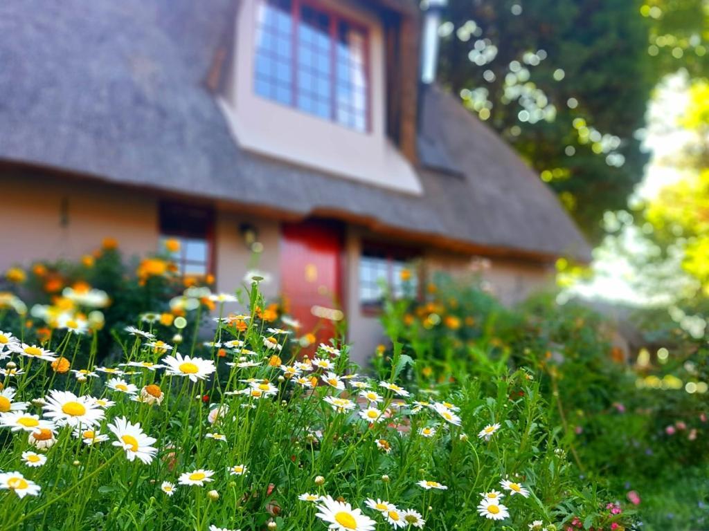 Granny Mouse Country House & Spa Balgowan Exterior foto